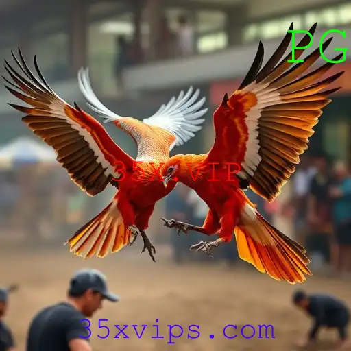 Jogos de sabong